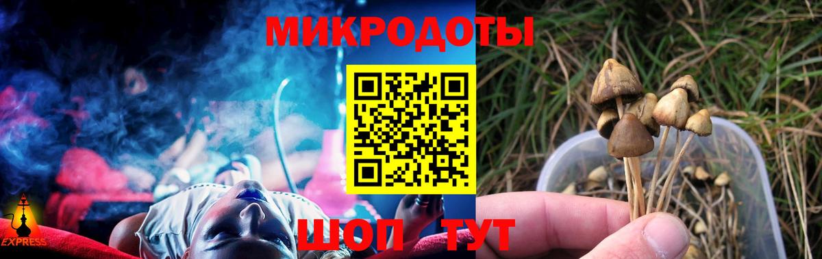 Черкесск  Псилоцибиновые грибы мицелий  Вход с VPN  Псилоцибиновые грибы Psilocybine cubensis 